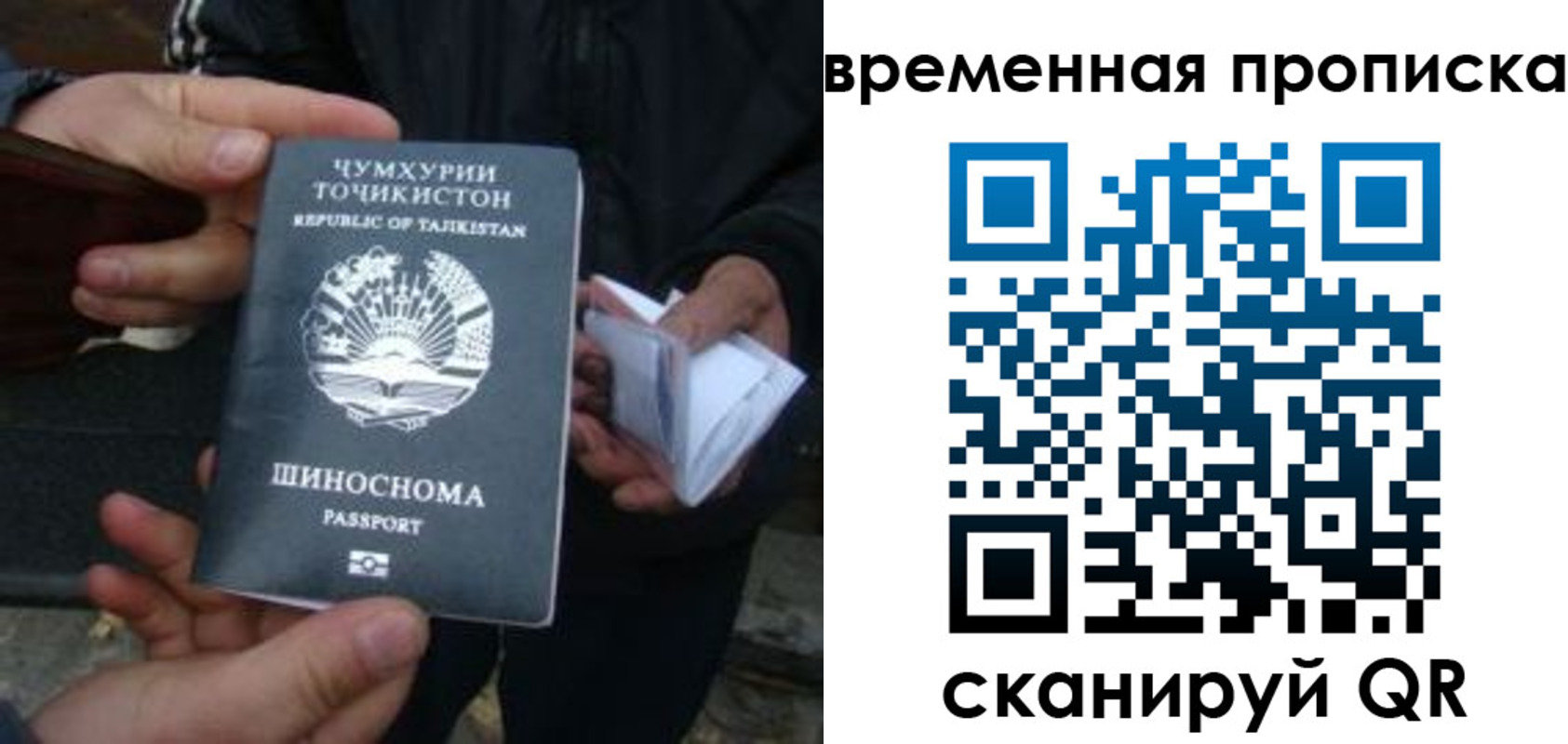 прописка законно в Талице